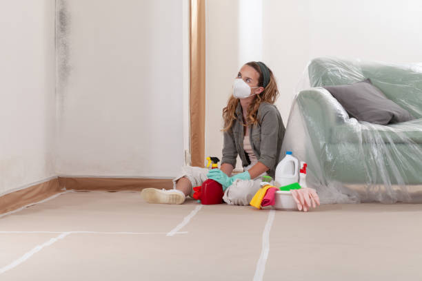 Reliable Mold Remediation contractor in Windsor, IL by WQB Mold Removal